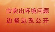 市突出环境问题边督边改公开